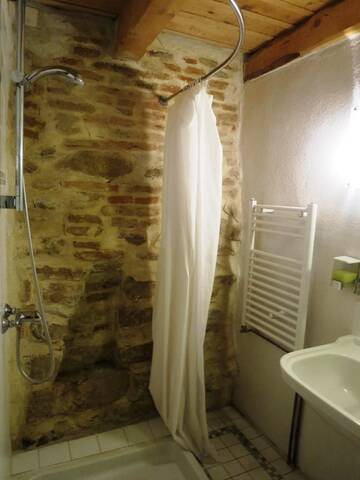 Фото номера Номер-студио - Двухуровневый Апарт-отели Medieval Apartments Frauendorf г. Axente Sever 2