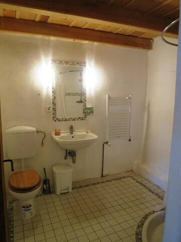 Фото номера Номер-студио - Двухуровневый Апарт-отели Medieval Apartments Frauendorf г. Axente Sever 24